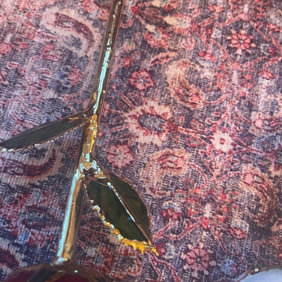 Roses🌹🥀💐 - Picture 9 of 11